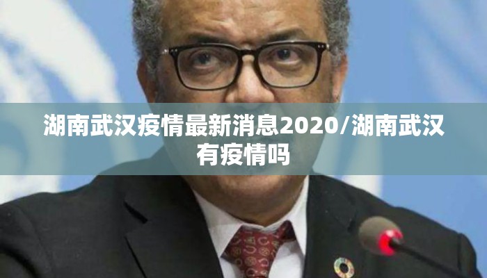 湖南武汉疫情最新消息2020/湖南武汉有疫情吗
