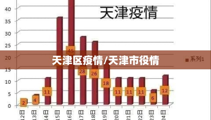 天津区疫情/天津市役情 天津区疫情/天津市役情