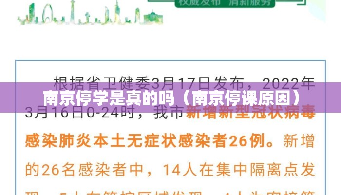 南京停学是真的吗（南京停课原因）