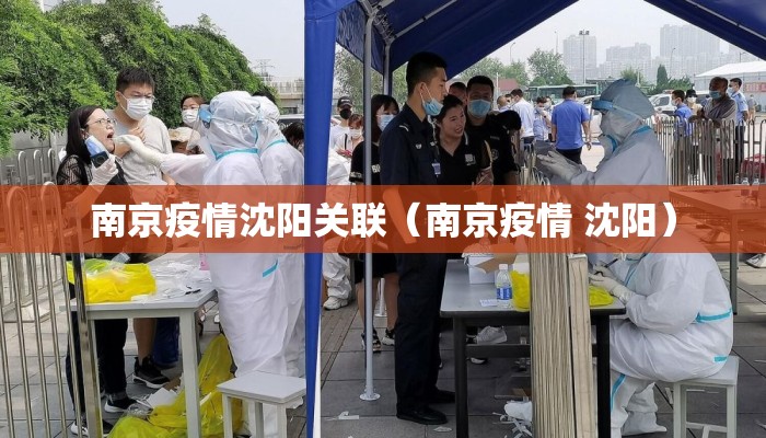 南京疫情沈阳关联（南京疫情 沈阳）
