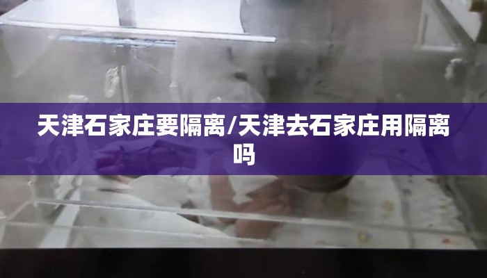 天津石家庄要隔离/天津去石家庄用隔离吗