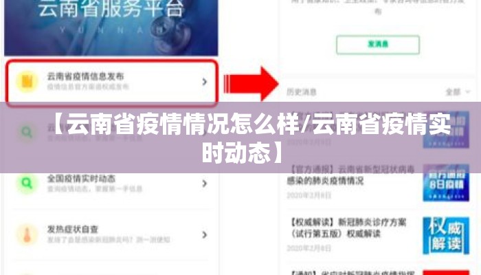 【云南省疫情情况怎么样/云南省疫情实时动态】