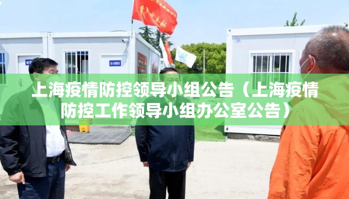 上海疫情防控领导小组公告（上海疫情防控工作领导小组办公室公告）