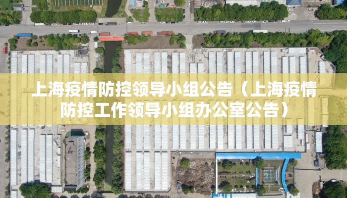 上海疫情防控领导小组公告（上海疫情防控工作领导小组办公室公告）