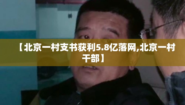 【北京一村支书获利5.8亿落网,北京一村干部】