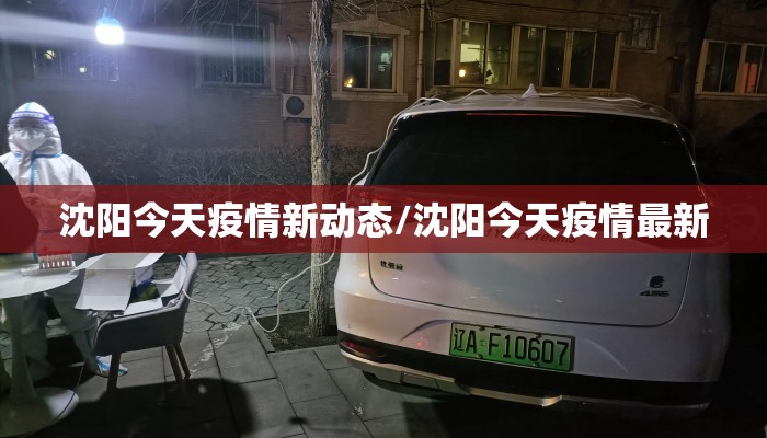 沈阳今天疫情新动态/沈阳今天疫情最新 沈阳今天疫情新动态/沈阳今天疫情最新