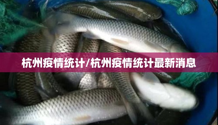 杭州疫情统计/杭州疫情统计最新消息