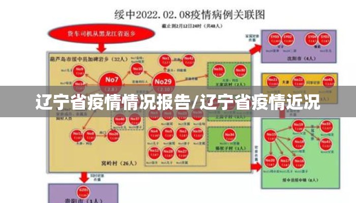 辽宁省疫情情况报告/辽宁省疫情近况