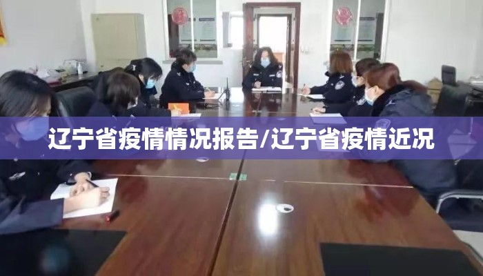 辽宁省疫情情况报告/辽宁省疫情近况