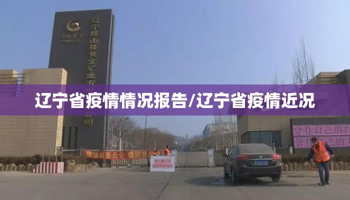 辽宁省疫情情况报告/辽宁省疫情近况