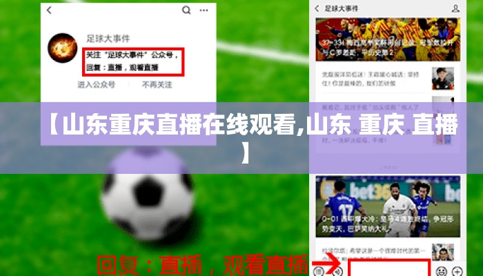 【山东重庆直播在线观看,山东 重庆 直播】