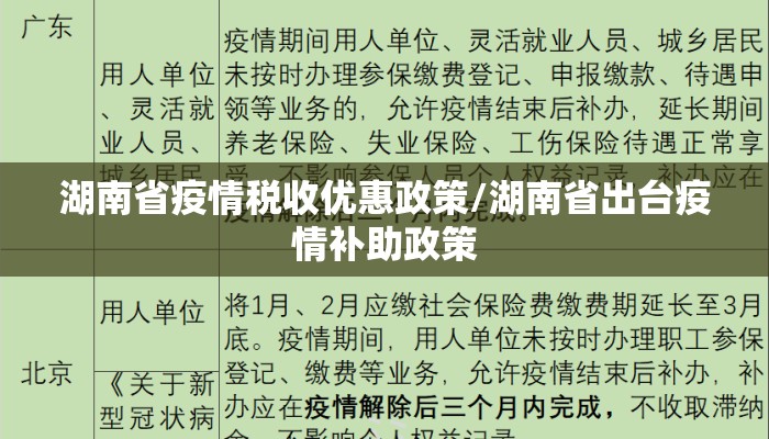 湖南省疫情税收优惠政策/湖南省出台疫情补助政策