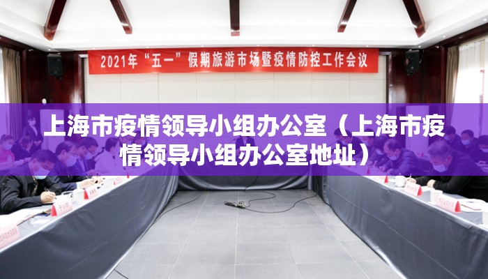 上海市疫情领导小组办公室（上海市疫情领导小组办公室地址）