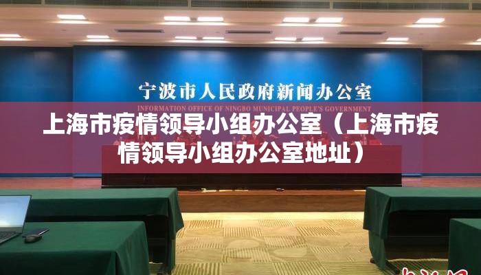 上海市疫情领导小组办公室(上海市疫情领导小组办公室地址) 上海市疫情领导小组办公室(上海市疫情领导小组办公室地址)