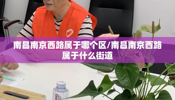 南昌南京西路属于哪个区/南昌南京西路属于什么街道 南昌南京西路属于哪个区/南昌南京西路属于什么街道