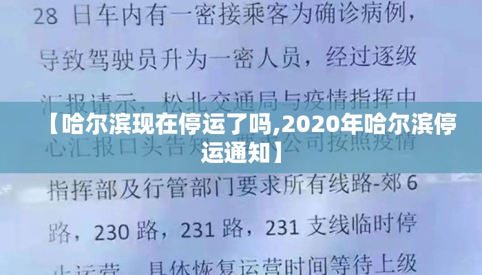 【哈尔滨现在停运了吗,2020年哈尔滨停运通知】