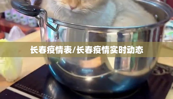 长春疫情表/长春疫情实时动态 长春疫情表/长春疫情实时动态