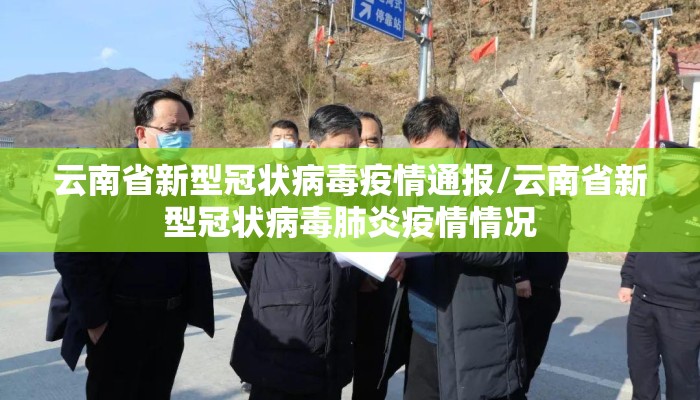 云南省新型冠状病毒疫情通报/云南省新型冠状病毒肺炎疫情情况
