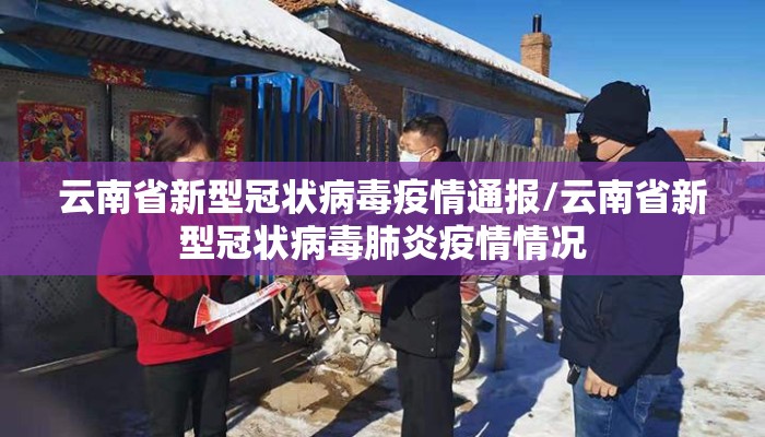 云南省新型冠状病毒疫情通报/云南省新型冠状病毒肺炎疫情情况