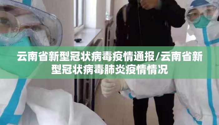 云南省新型冠状病毒疫情通报/云南省新型冠状病毒肺炎疫情情况
