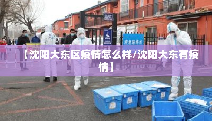 【沈阳大东区疫情怎么样/沈阳大东有疫情】