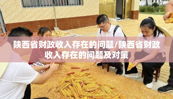 陕西省财政收入存在的问题/陕西省财政收入存在的问题及对策