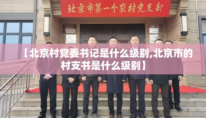 【北京村党委书记是什么级别,北京市的村支书是什么级别】 【北京村党委书记是什么级别,北京市的村支书是什么级别】