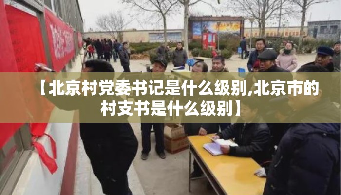 【北京村党委书记是什么级别,北京市的村支书是什么级别】