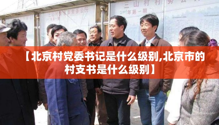 【北京村党委书记是什么级别,北京市的村支书是什么级别】 【北京村党委书记是什么级别,北京市的村支书是什么级别】