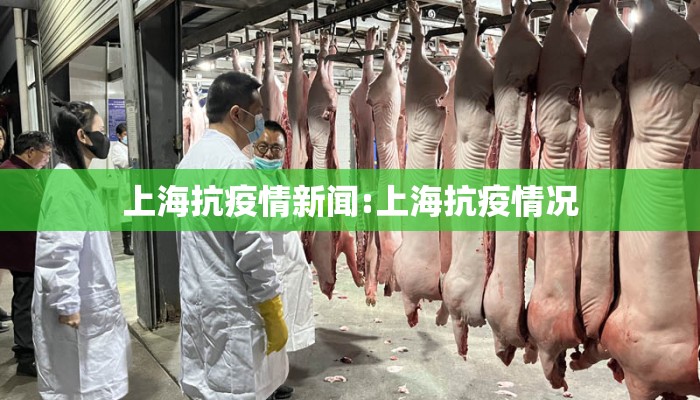 上海抗疫情新闻:上海抗疫情况