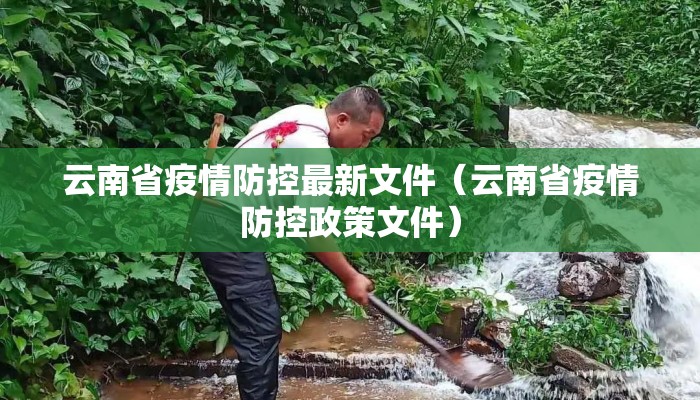 云南省疫情防控最新文件(云南省疫情防控政策文件) 云南省疫情防控最新文件(云南省疫情防控政策文件)