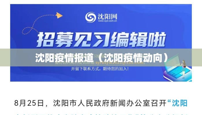 沈阳疫情报道（沈阳疫情动向）