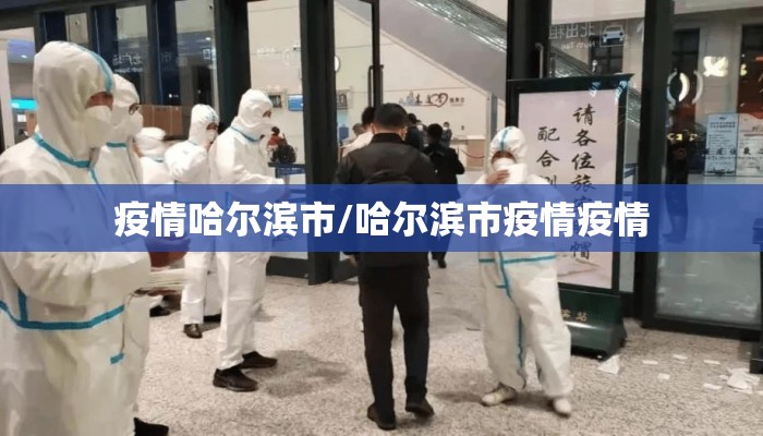 疫情哈尔滨市/哈尔滨市疫情疫情
