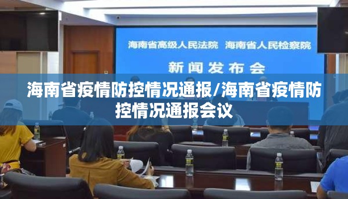 海南省疫情防控情况通报/海南省疫情防控情况通报会议 海南省疫情防控情况通报/海南省疫情防控情况通报会议