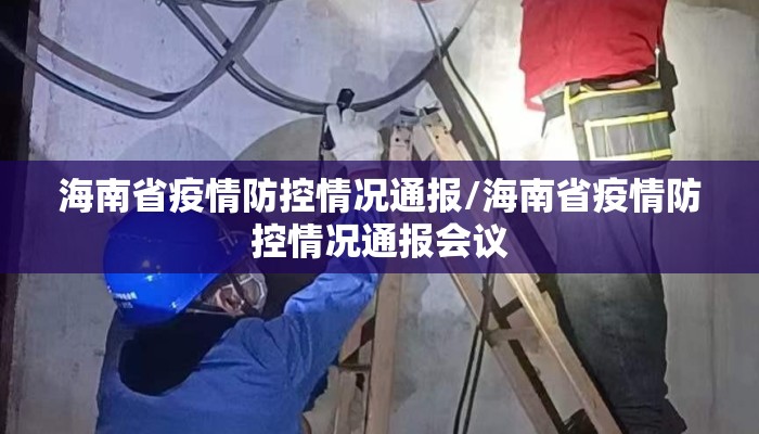 海南省疫情防控情况通报/海南省疫情防控情况通报会议