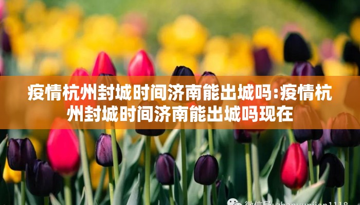 疫情杭州封城时间济南能出城吗:疫情杭州封城时间济南能出城吗现在