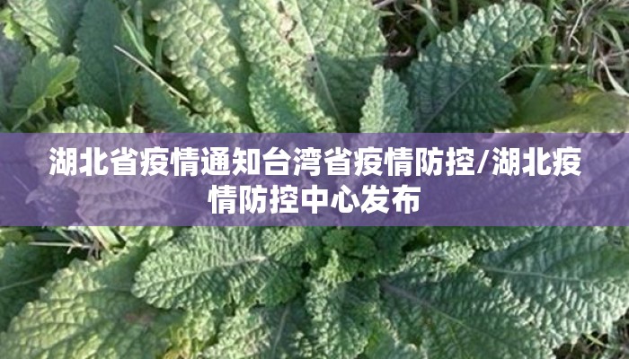 湖北省疫情通知台湾省疫情防控/湖北疫情防控中心发布