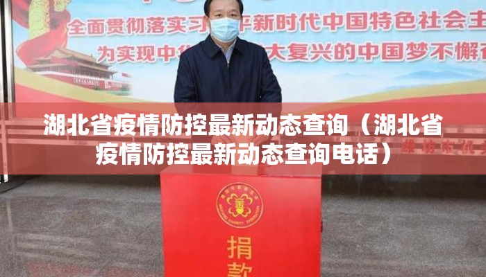 湖北省疫情防控最新动态查询（湖北省疫情防控最新动态查询电话）