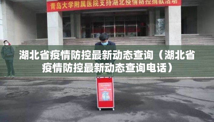 湖北省疫情防控最新动态查询（湖北省疫情防控最新动态查询电话）