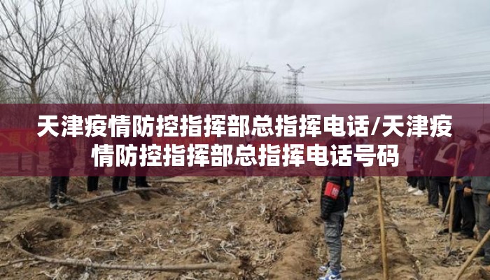 天津疫情防控指挥部总指挥电话/天津疫情防控指挥部总指挥电话号码
