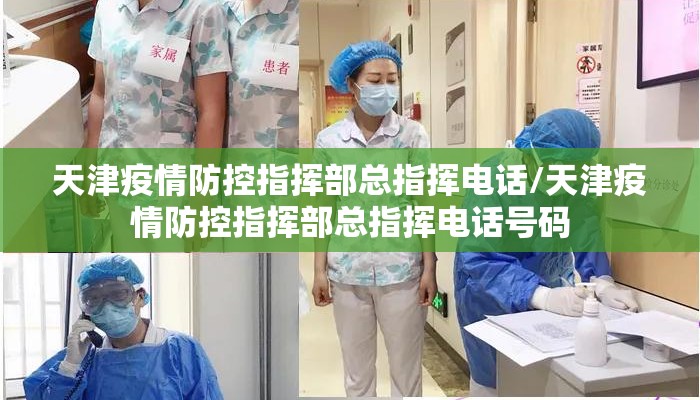 天津疫情防控指挥部总指挥电话/天津疫情防控指挥部总指挥电话号码 天津疫情防控指挥部总指挥电话/天津疫情防控指挥部总指挥电话号码