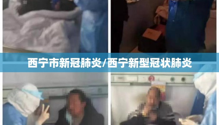 西宁市新冠肺炎/西宁新型冠状肺炎