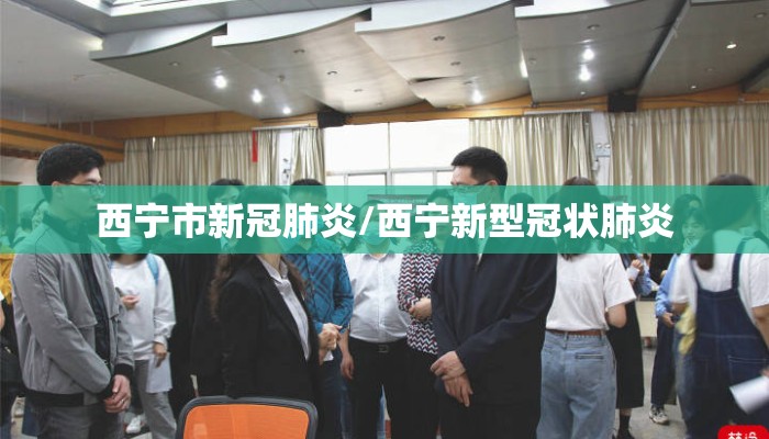 西宁市新冠肺炎/西宁新型冠状肺炎