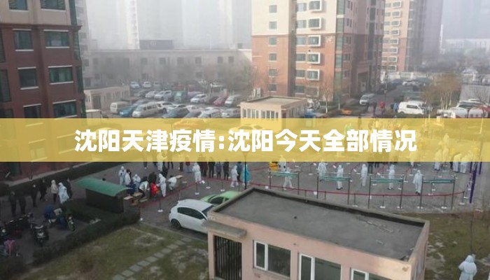 沈阳天津疫情:沈阳今天全部情况