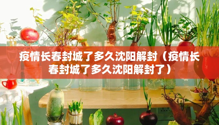 疫情长春封城了多久沈阳解封（疫情长春封城了多久沈阳解封了）