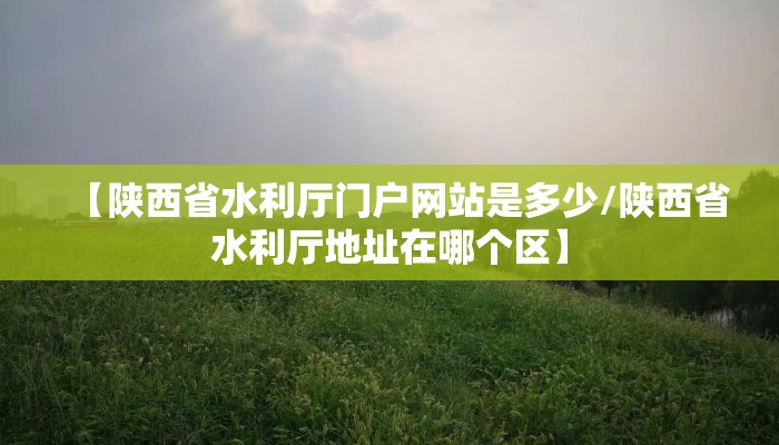 【陕西省水利厅门户网站是多少/陕西省水利厅地址在哪个区】
