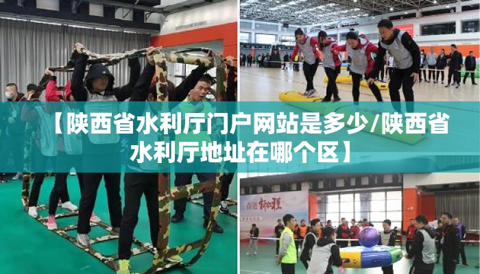【陕西省水利厅门户网站是多少/陕西省水利厅地址在哪个区】