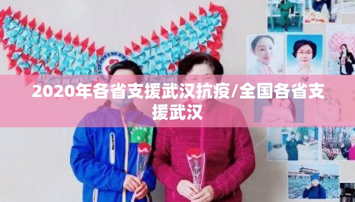 2020年各省支援武汉抗疫/全国各省支援武汉