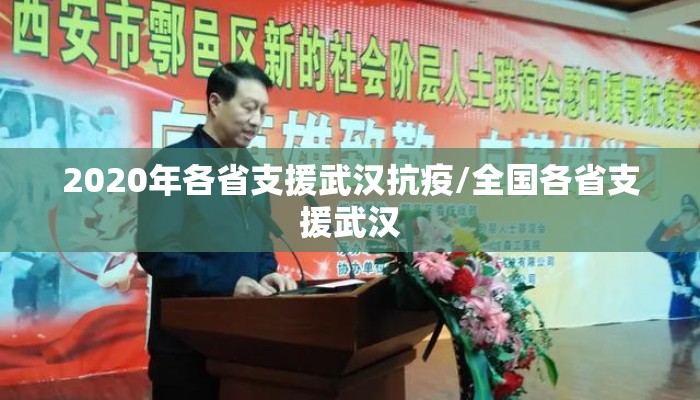2020年各省支援武汉抗疫/全国各省支援武汉