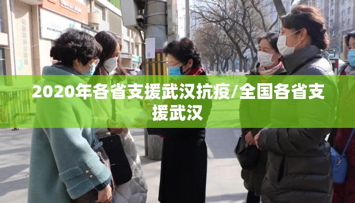 2020年各省支援武汉抗疫/全国各省支援武汉